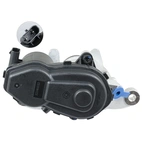 Jarrusatula sopii Mercedes