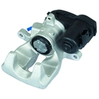 Jarrusatula sopii Mercedes