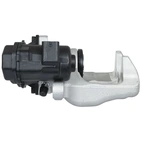 Jarrusatula sopii Mercedes