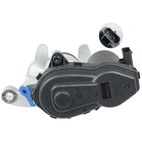 Jarrusatula sopii Mercedes