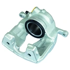 Jarrusatula sopii Mercedes