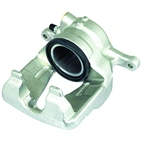 Jarrusatula sopii Mercedes