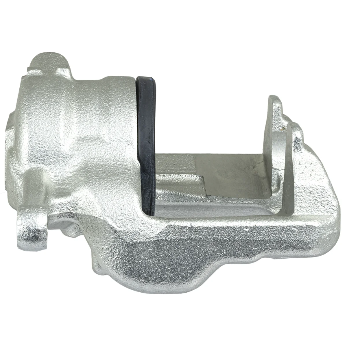 Jarrusatula sopii Mercedes