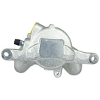 Jarrusatula sopii Mercedes