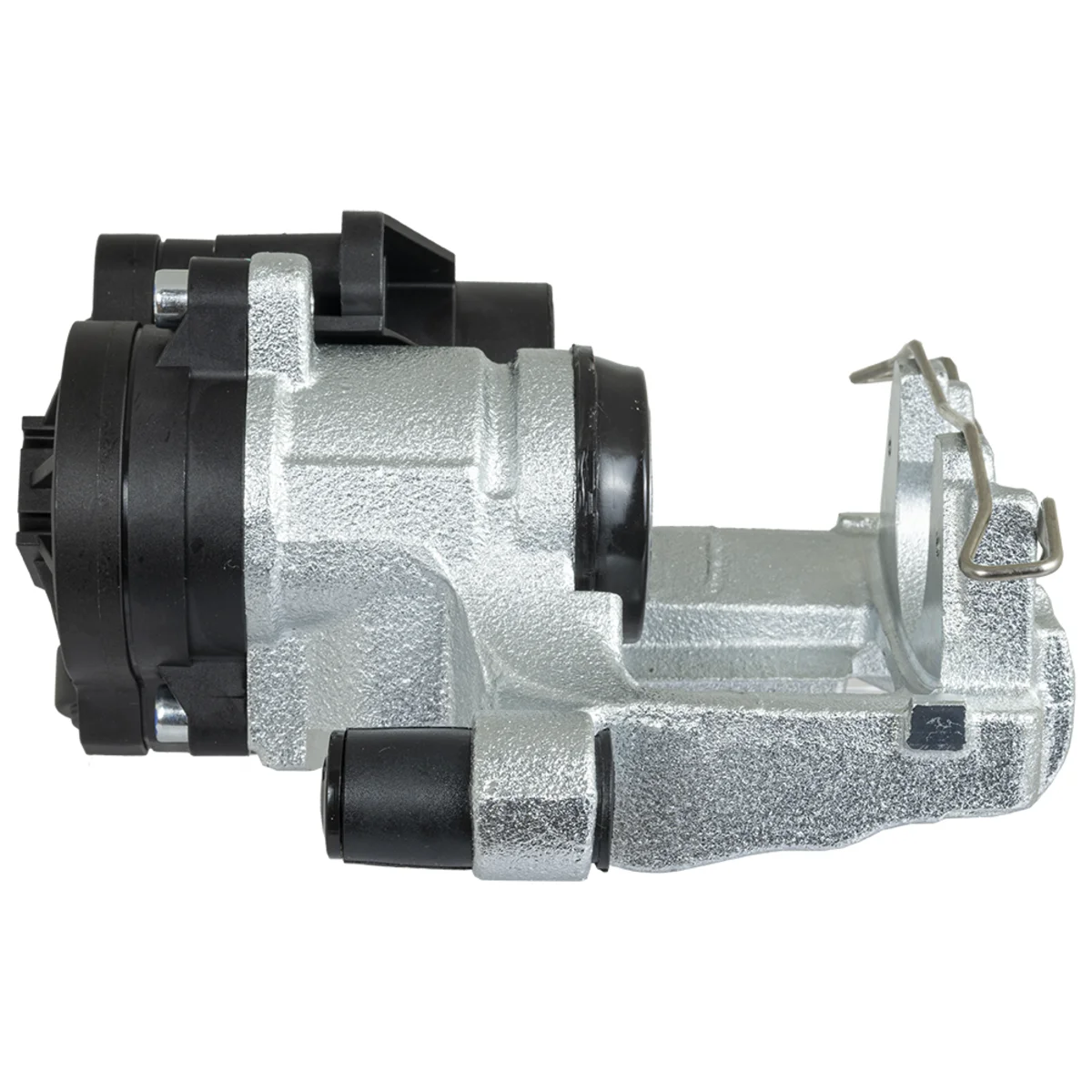 Jarrusatula sopii VAG