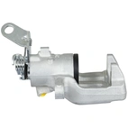 Jarrusatula sopii Seat / Skoda