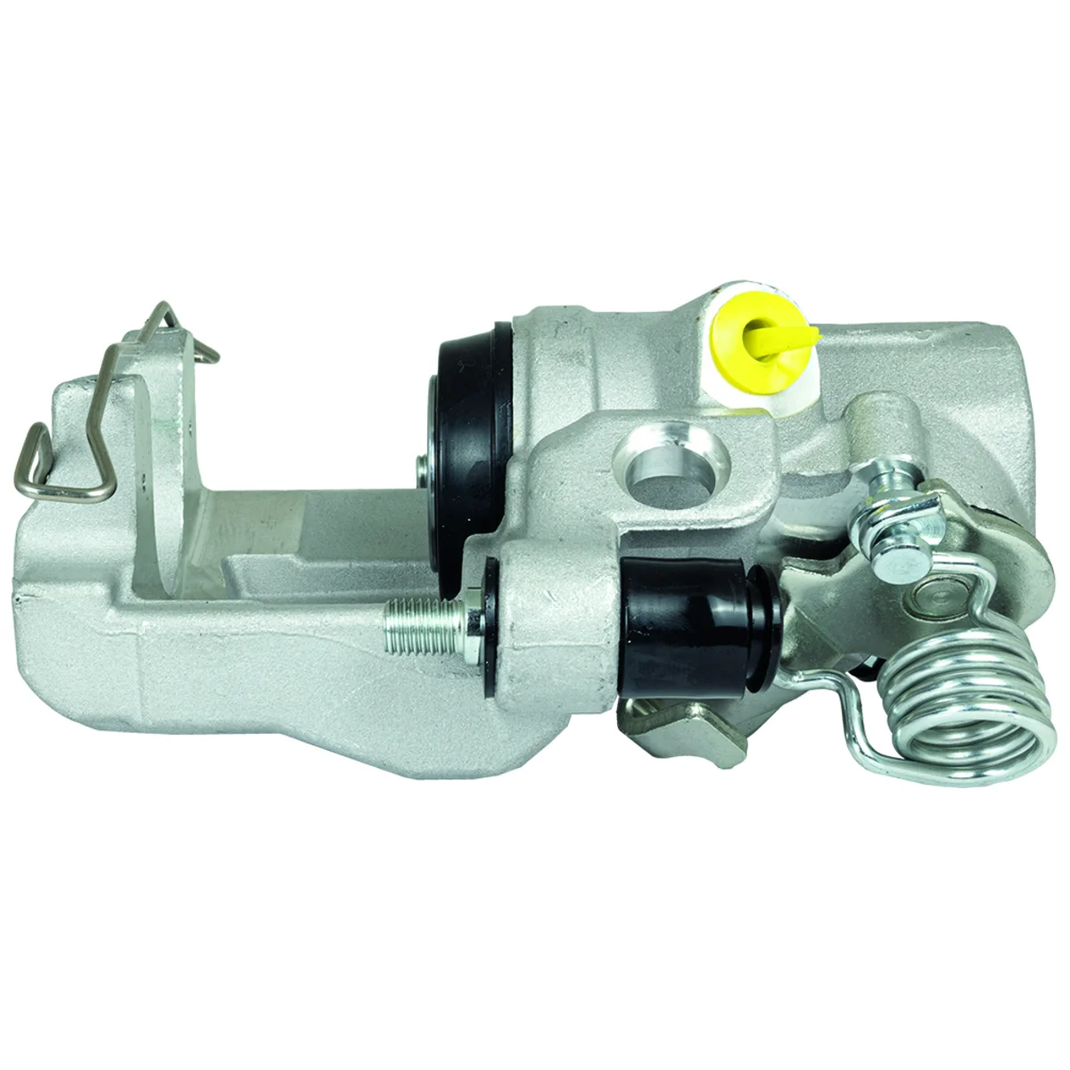 Jarrusatula sopii Ford