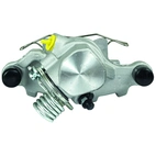 Jarrusatula sopii Ford