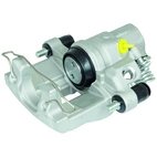 Jarrusatula sopii Ford