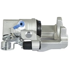 Jarrusatula sopii Ford