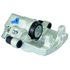 Jarrusatula sopii Ford