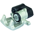 Jarrusatula sopii VW (v/b)