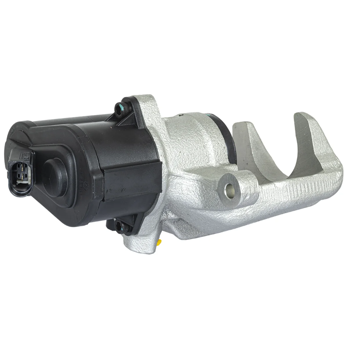 Jarrusatula sopii VW (h/b)