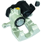 Jarrusatula sopii Audiin