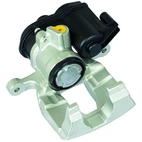 Jarrusatula sopii Audiin