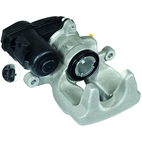 Jarrusatula sopii Mercedes