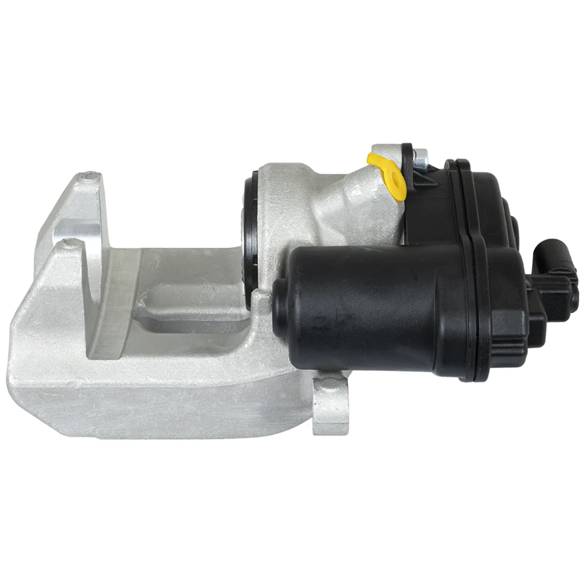 Jarrusatula sopii BMW