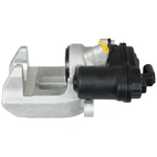 Jarrusatula sopii BMW