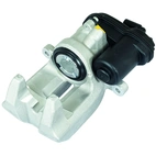 Jarrusatula sopii BMW