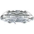 Jarrusatula sopii Mercedes-Benz