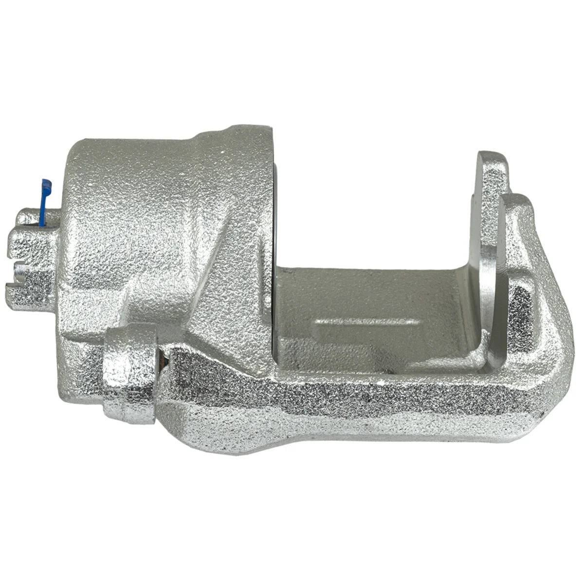 Jarrusatula sopii Honda