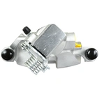 Jarrusatula sopii Ford