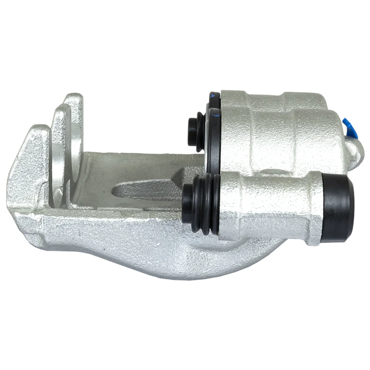 Jarrusatula sopii Mercedes