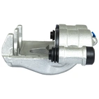 Jarrusatula sopii Mercedes