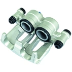 Jarrusatula sopii Mercedes