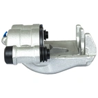 Jarrusatula sopii Mercedes