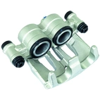 Jarrusatula sopii Mercedes