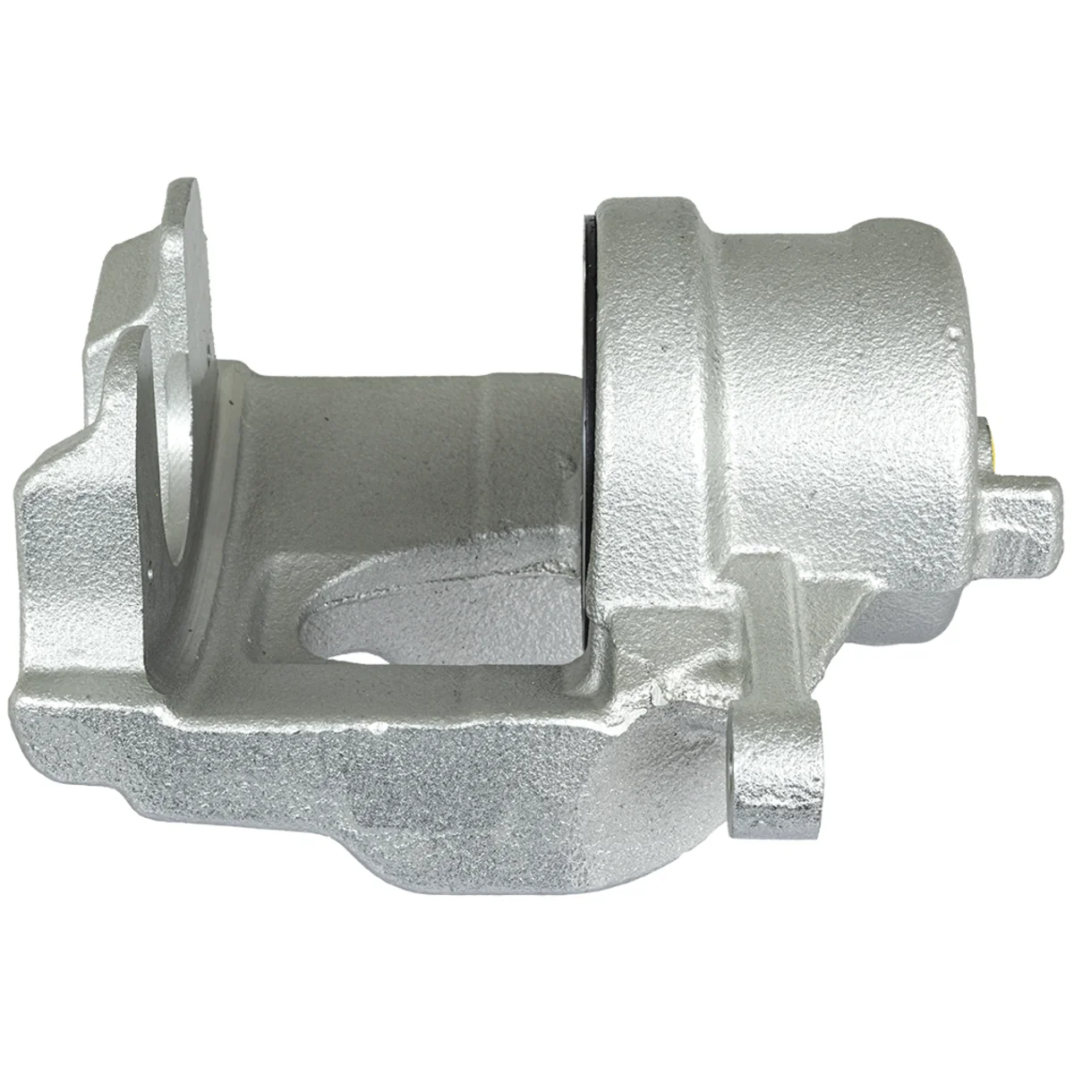 Jarrusatula sopii Mercedes