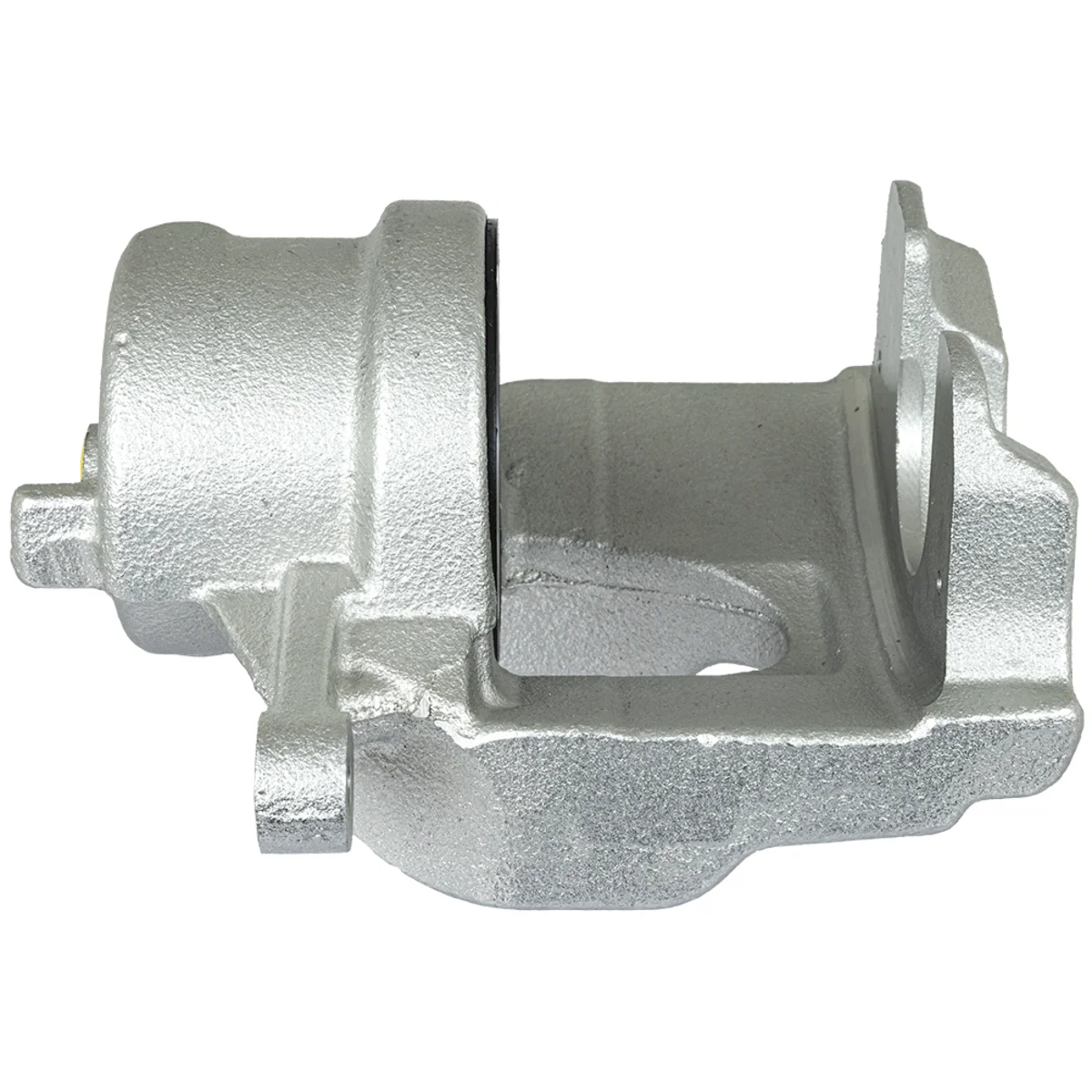 Jarrusatula sopii Mercedes