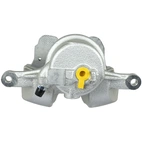 Jarrusatula sopii Mercedes