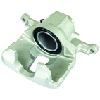 Jarrusatula sopii Renault