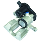 Jarrusatula sopii Audiin