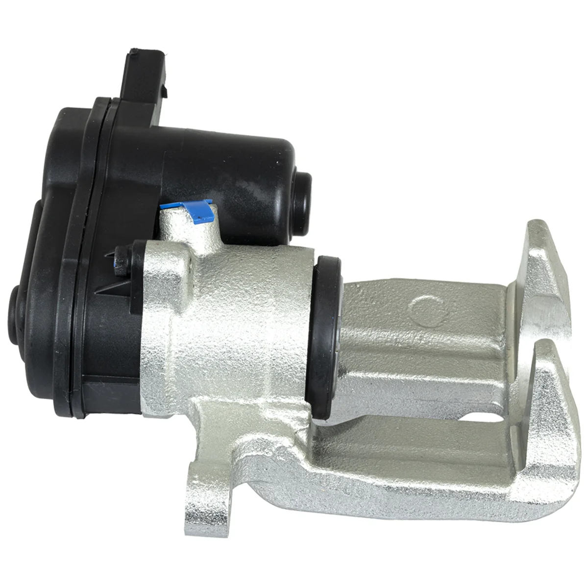 Jarrusatula sopii Audiin