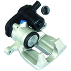 Jarrusatula sopii Audiin