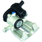 Jarrusatula sopii Audiin