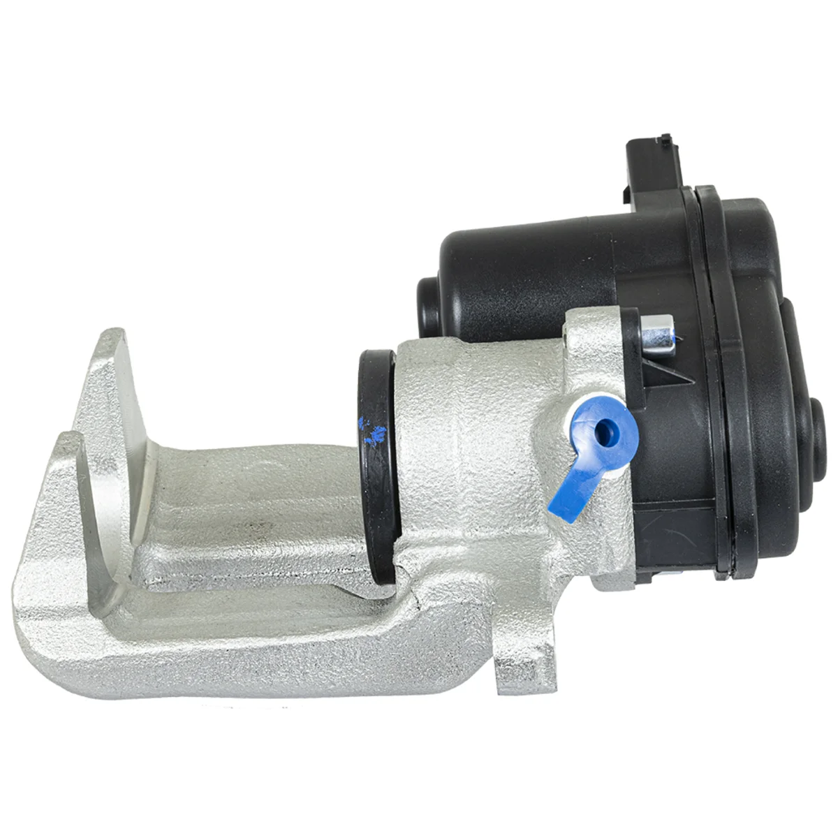 Jarrusatula sopii Audiin