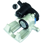 Jarrusatula sopii Audiin