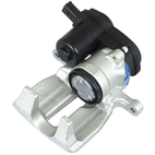 Jarrusatula sopii Audiin