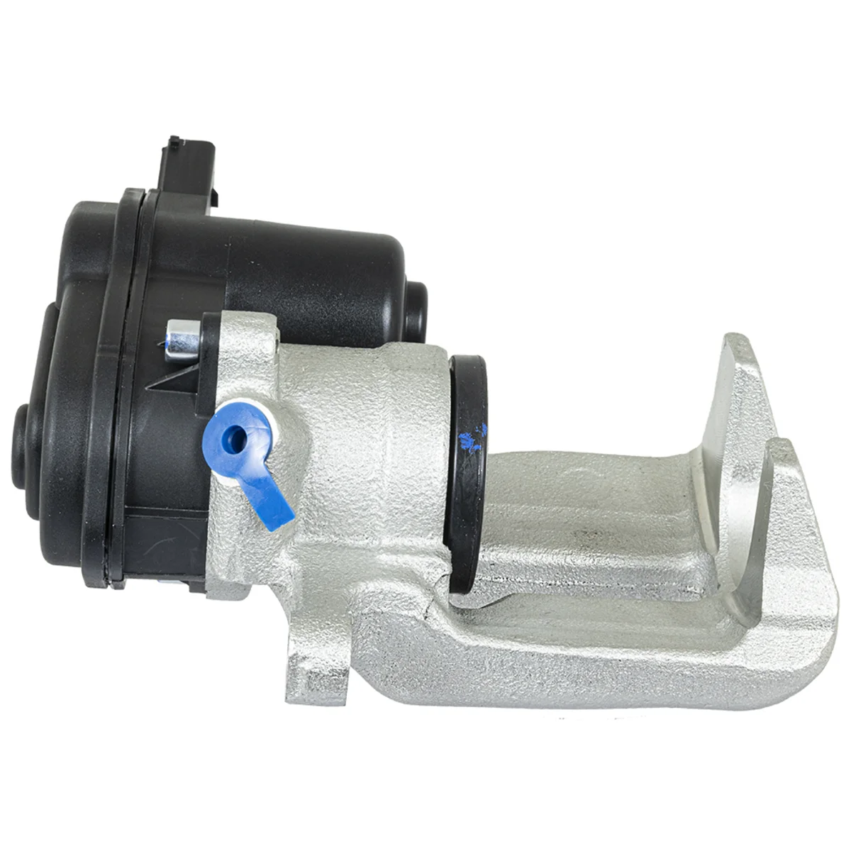 Jarrusatula sopii Audiin