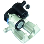 Jarrusatula sopii Audiin