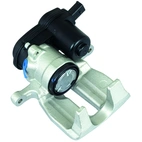 Jarrusatula sopii Audiin