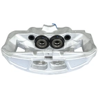 Jarrusatula sopii Audiin