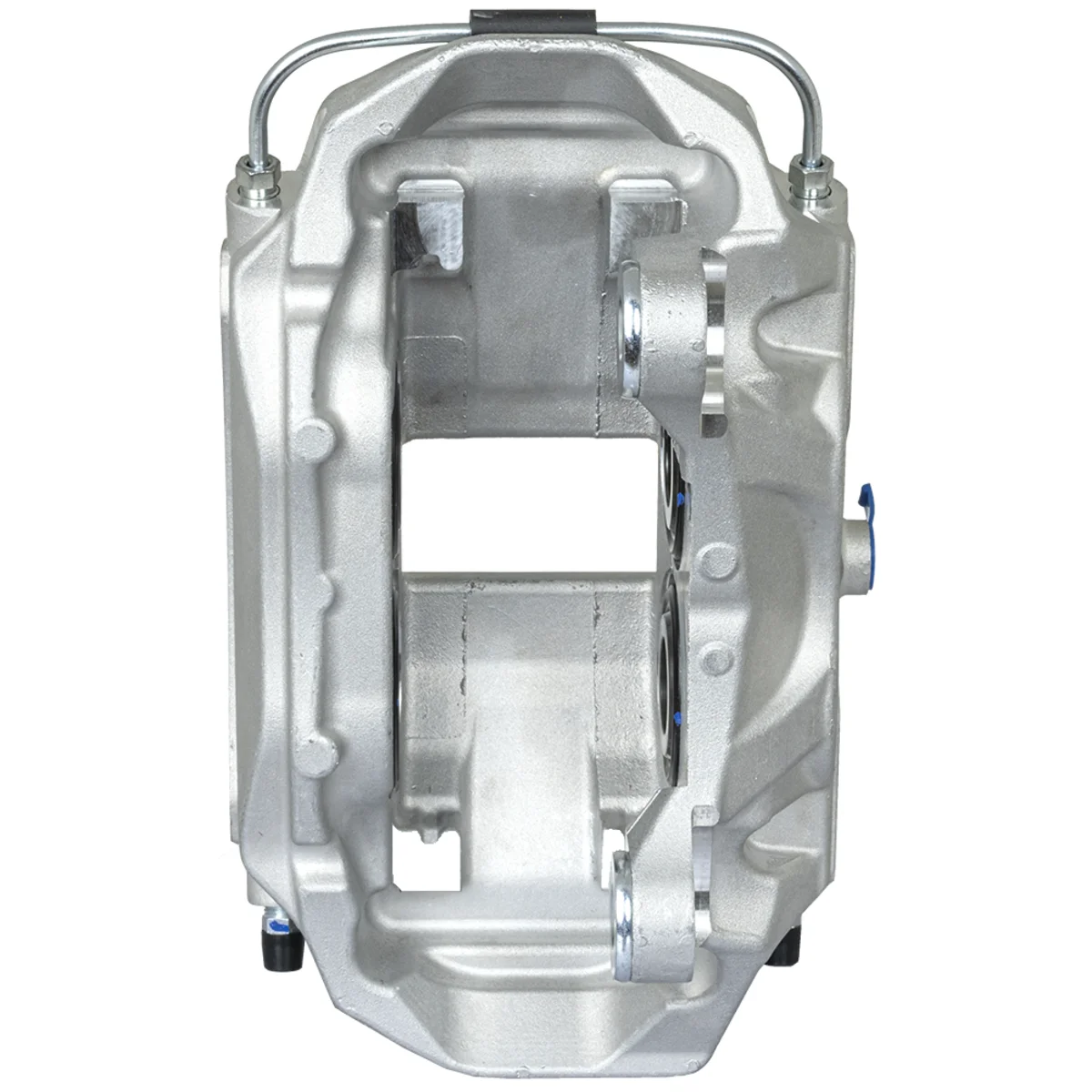 Jarrusatula sopii Audiin