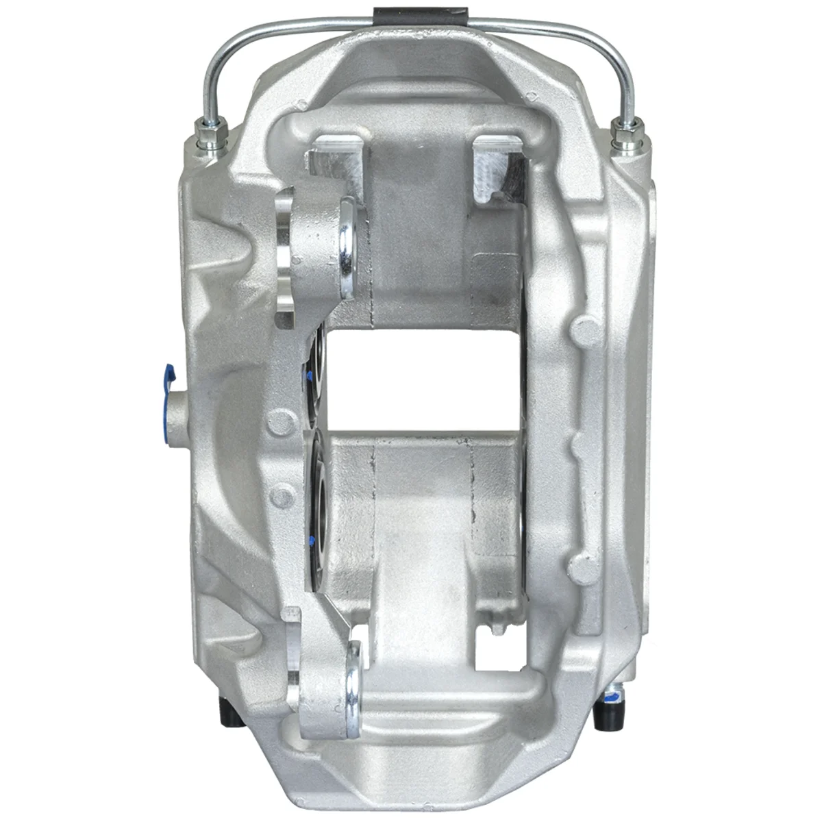 Jarrusatula sopii Audiin