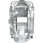 Jarrusatula sopii Audiin