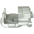 Jarrusatula sopii Suzuki